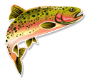 Rainbow trout cartoon