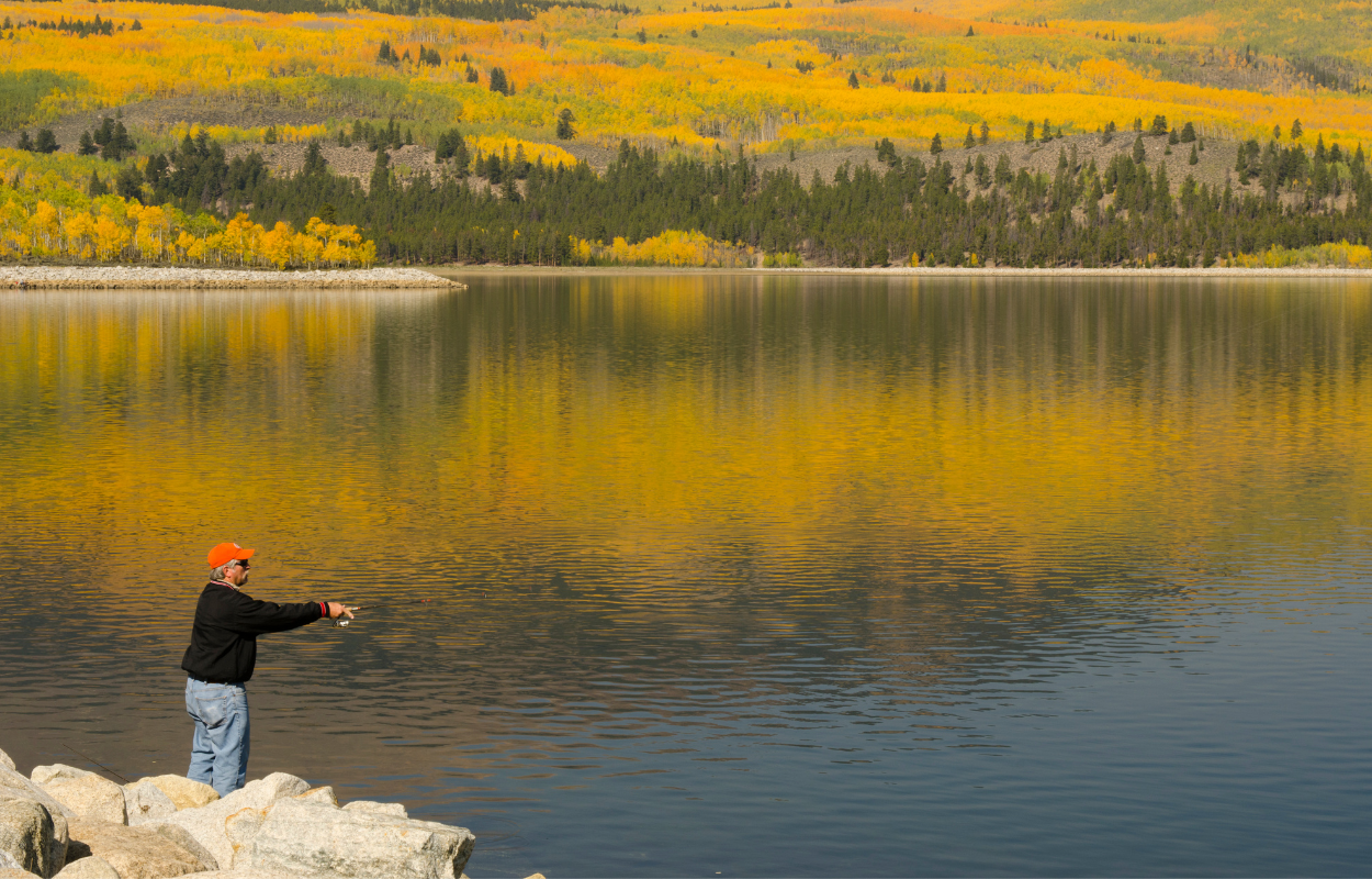 man stands on a rock and fishes a large lake during fall with yellow trees in the background