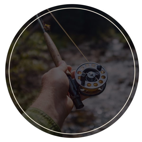 fly fishing rod and reel