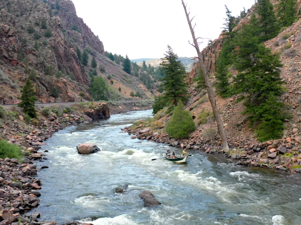 three anglers float down the Colorado River in a drfit boat