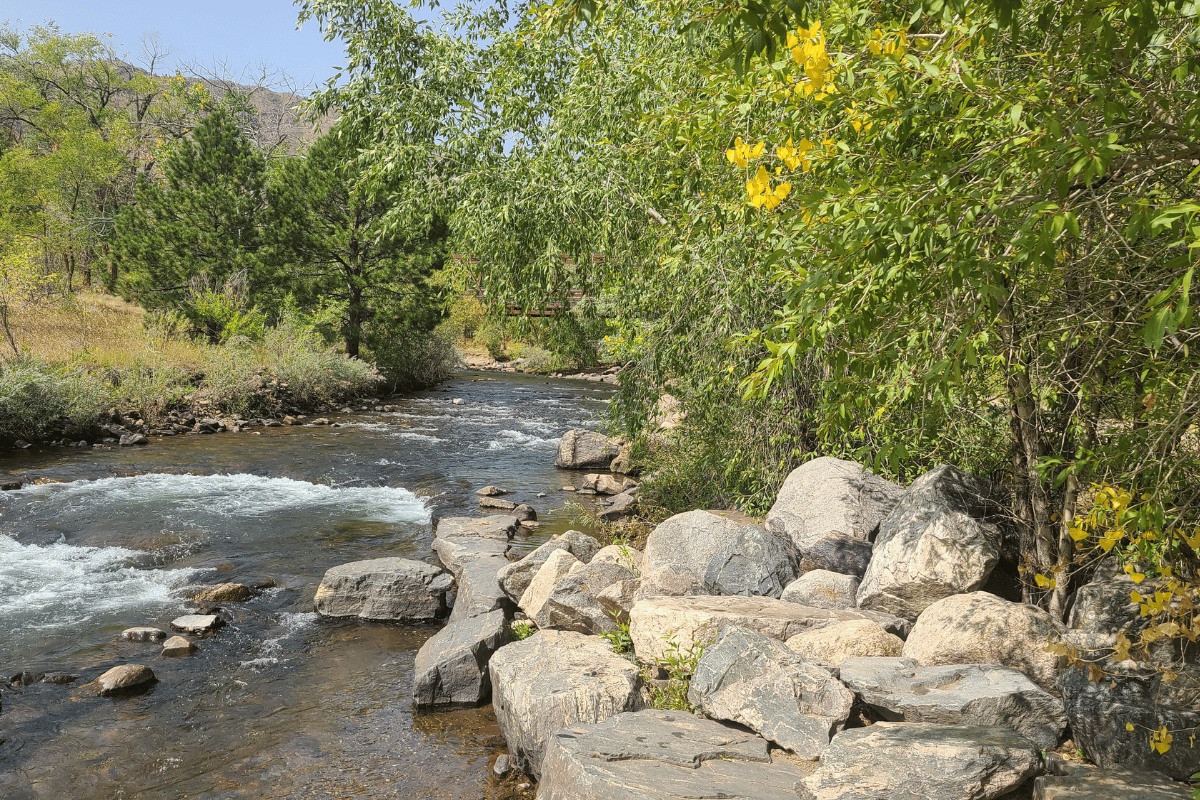Clear creek river with trees along the shoreline.