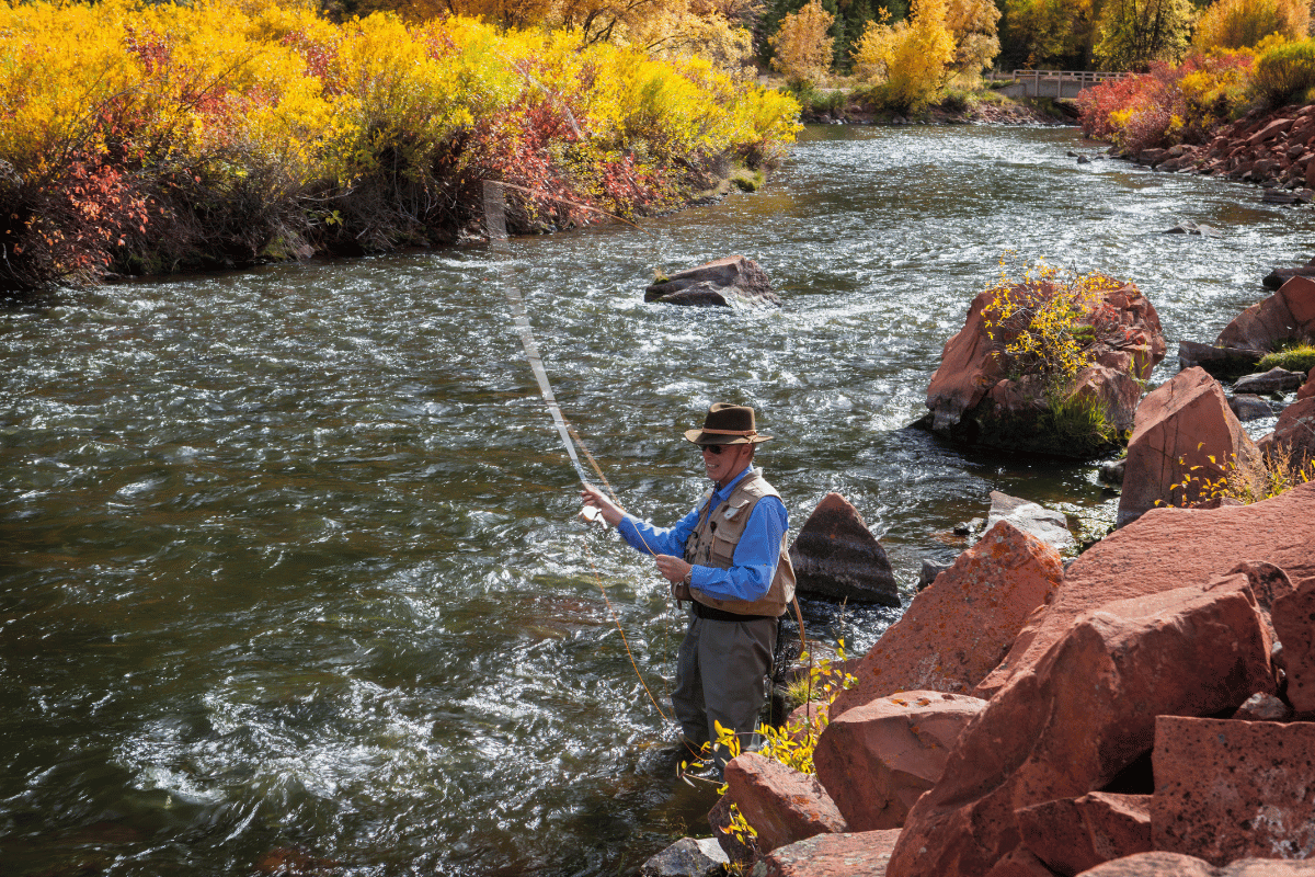 Fly fisherman in frying pan river with colorful aspens along the shore.